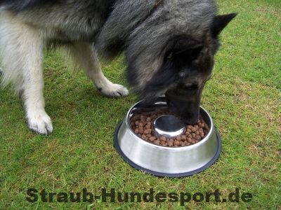 Anti-Schling-Näpfe von Straub-Hundesport