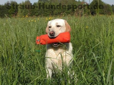 Dummies - Trainingsgegenstände für Schuß-Bring-Hunde