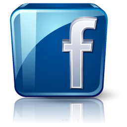 Straub-Hundesport bei Facebook