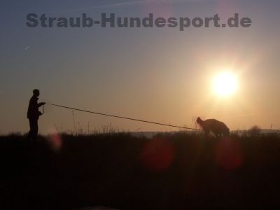 Fährtenzubehör - Straub-Hundesport - Wir statten Sie aus!