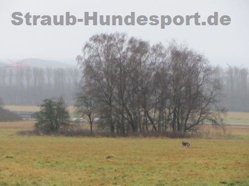 Böttchergeschirr zum Fährten auch bei schlechtem Wetter.