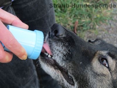 Futtertube von Gako - Ihr Hund wird sie lieben