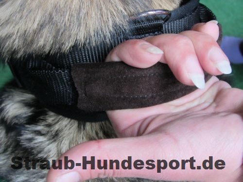 Hetzhalsband - Wildleder für richtigen Grip, auch wenn es nass ist