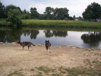 Hundeinsel Witten