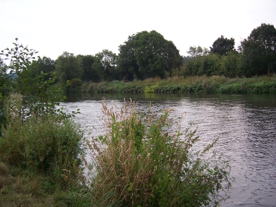 Hundeinsel Witten Ruhr