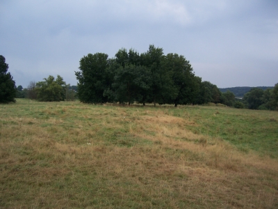 Hundeinsel Witten Ruhr