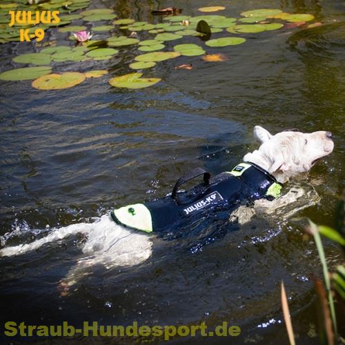 Schwimmweste für Hunde von Julius-K9