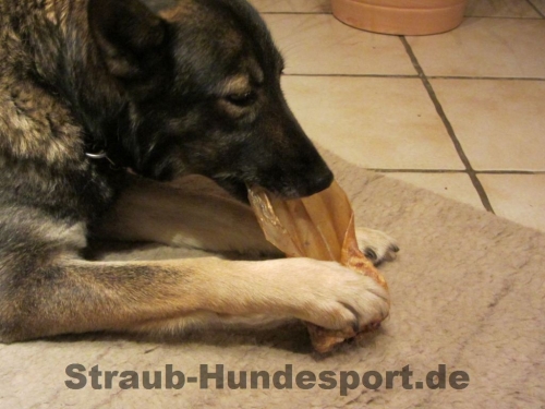 natürliche Hundesnacks zur Beschäftigung und zur Belohnung