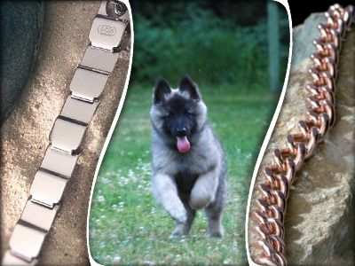 Hundesport-Straub - Sicherheit durch gutes Equipment