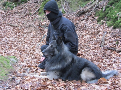 Accessoires für Hundebesitzer