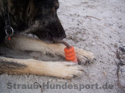 Mini-Mot Hundespielzeug nach Ekard Lind!