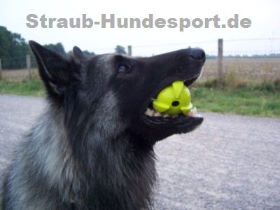 Tryball - der Ball für Hundesportler und Hundebesitzer