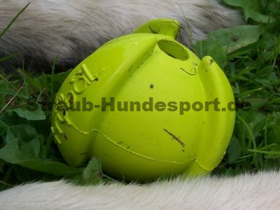 Tryball - der Ball für Hunde