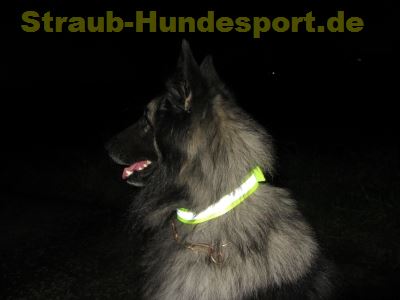 Warnhalsungen von Firedog